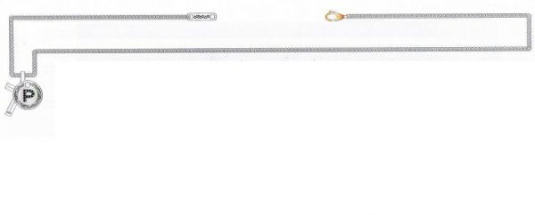 COLLANA REBECCA DEVIL INIZIALE "P" (mod.8033072797440)