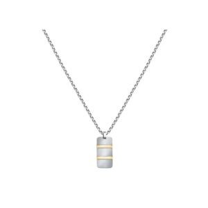 Collana da uomo in acciaio con ciondolo satinato e dettagli dorati: minimalismo con un tocco di classe.